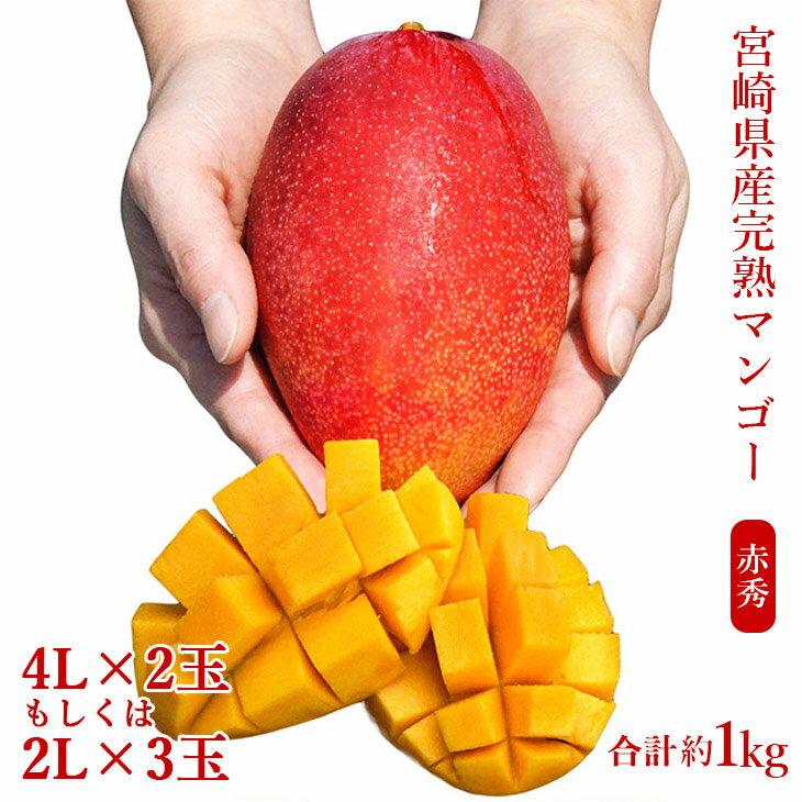 【ふるさと納税】宮崎県産完熟マンゴー[赤秀] 合計約1kg（2～3玉）