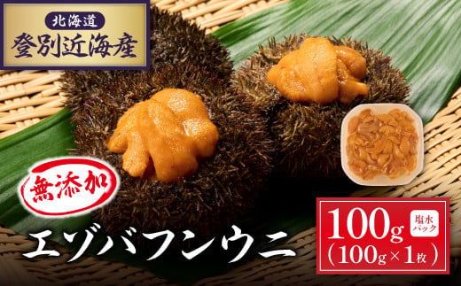 北海道 登別近海産　無添加　極上エゾバフンウニ塩水パック100g ※2025年6月より発送