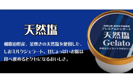 アイス アイスクリーム ジェラート スイーツ / プレミアムジェラート 天然塩12個セット アイスクリームセット 100mlカップ ゆあさジェラートラボラトリー【kmtb700-04】