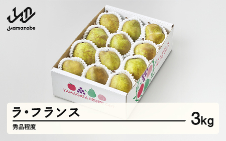 【先行予約】ラ・フランス 秀品程度 約3kg(6~12個程度) 洋梨 2026年産 山形県産 tf-lasxx3
