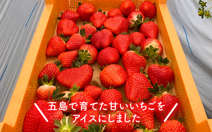 【濃厚で甘酸っぱいいちごの香りがたまらない】五島産いちごアイス ２０個入 五島市/野原農園 [PCM001]