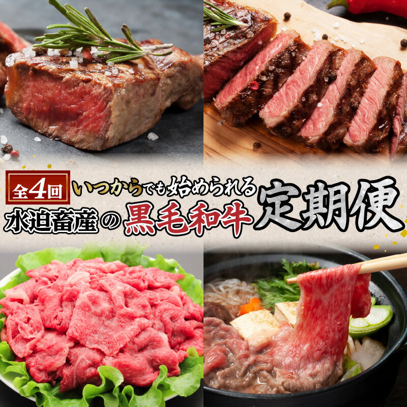 【ふるさと納税】【全4回】 水迫畜産 の 黒毛和牛 定期便 〈いつからでも始められる〉 送料無料 鹿児島市 九州 お取り寄せ グルメ 特産品 お礼の品 贈り物 プレゼント ギフト 定期 肉 牛 和牛 ステーキ すき焼き 切り落とし 冷凍 小分け