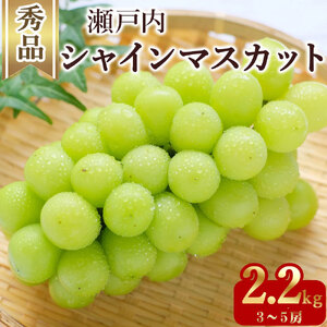 シャインマスカット　3～5房（約2.4kg）