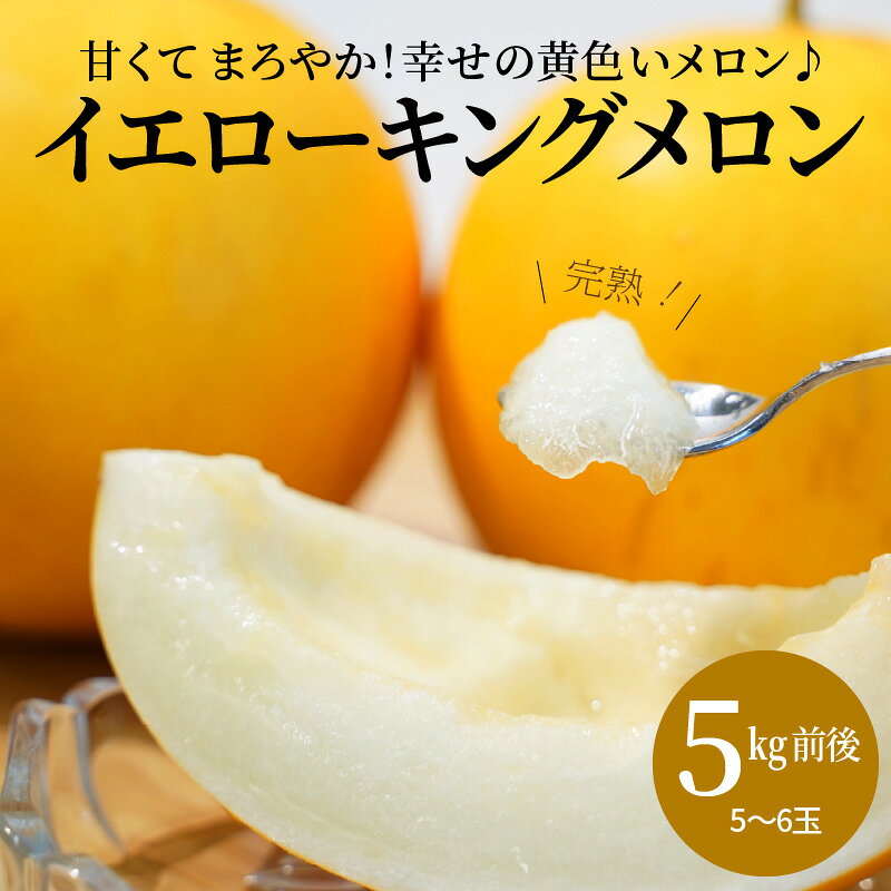 【ふるさと納税】 〈予約受付〉 2027年発送 完熟 イエローキングメロン 5kg前後 5玉〜6玉 甘い 糖度 13〜15 度 メロン おすそ分け 鈴良農園 愛知県 碧南市 送料無料