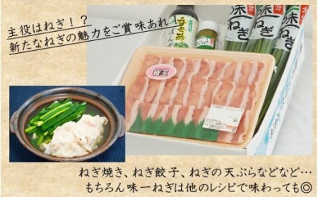 1969R_大分県産味一ねぎ×国東市ブランド桜王豚のねぎしゃぶセット