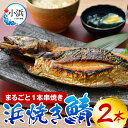 【ふるさと納税】若狭小浜 桝屋の浜焼き鯖2本入り｜ さば 鯖 焼き魚 酒の肴 おつまみ おかず 夕飯 500グラム×2 500g 1kg 焼き鯖 焼き サバ 半夏生さば 半夏生 丸焼き 丸焼きさば 福井名物 送料無料 [A-012002]