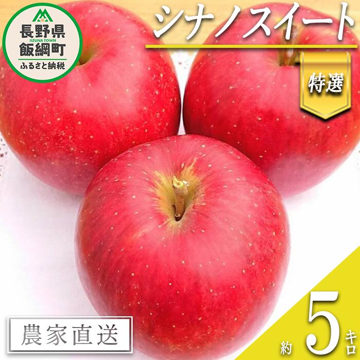 【ふるさと納税】 りんご シナノスイート 特選 5kg やまじゅうファーム 沖縄県への配送不可 令和7年度収穫分 信州の環境にやさしい農産物 減農薬栽培 長野県 飯綱町 【 信州 果物 フルーツ リンゴ 林檎 長野 18000円 】発送時期：2025年10月中旬〜2025年10月下旬{***}