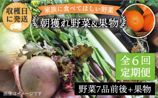 
【 全6回 定期便 】 こだわり 野菜 （ 7品 前後 ） セット ＋ 果物 《糸島》【オーガニックナガミツファーム】 [AGE010]
