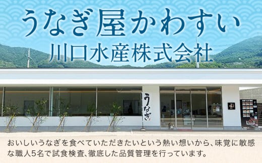 うなぎ屋かわすい 国産うなぎの蒲焼 計3尾 (1尾150g-169g) 川口水産株式会社《30日以内に出荷予定(土日祝除く)》徳島県 上板町 鰻 うなぎ ウナギ 鰻の蒲焼き 蒲焼 蒲焼き 国産 k-1