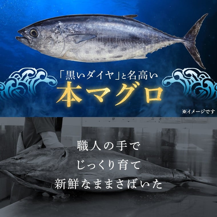 鹿児島県産本マグロ 中トロ＆赤身セット 合計400g