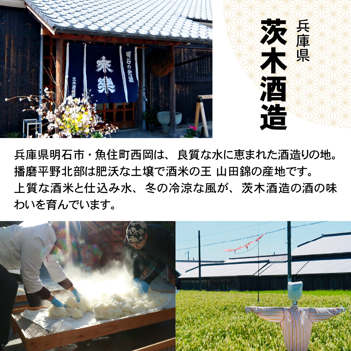 愛のあかし。明石焼きに合う日本酒として誕生した地酒「すゑひろがり」 2本 / 兵庫 兵庫県 明石 明石市 純米酒 爽やか 米 米麹 茨木酒造 特別純米酒 冷酒 食中酒 出汁割り 魚介料理 酒