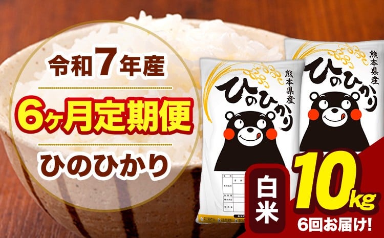 
            令和7年産 【6ヶ月定期便】 白米 米 ひのひかり 10kg《お申込月の翌月から出荷開始》熊本県 大津町 国産 熊本県産 白米 送料無料 ヒノヒカリ こめ お米 
          