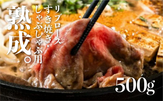 
飛騨牛 リブロース すき焼き しゃぶしゃぶ用 500g 牛肉 和牛
