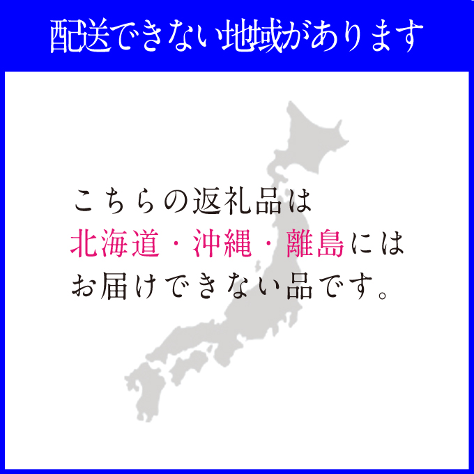 2026年先行予約【2回定期便】 プレミアムシャインマスカット晴王 2房約1.2kg 人気 岡山県産 赤秀品 種無し 皮ごと食べる みずみずしい9月10月お届け ハレノフルーツ
