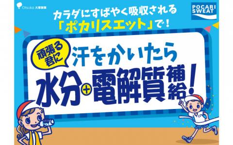 【熱中症対策】＜3回定期便＞500ml 1箱（24本）×3回 ポカリスエット【大塚製薬】 [FBD006]