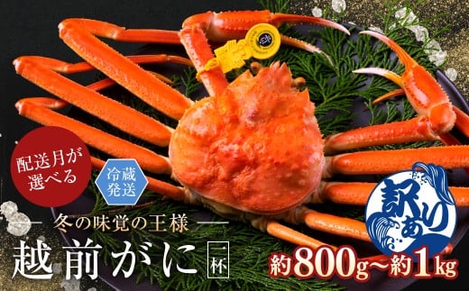【2026年1月発送・月指定可】越前がに（オス）「ずわいがに」大サイズ（800g-1kg） 訳あり 1杯
