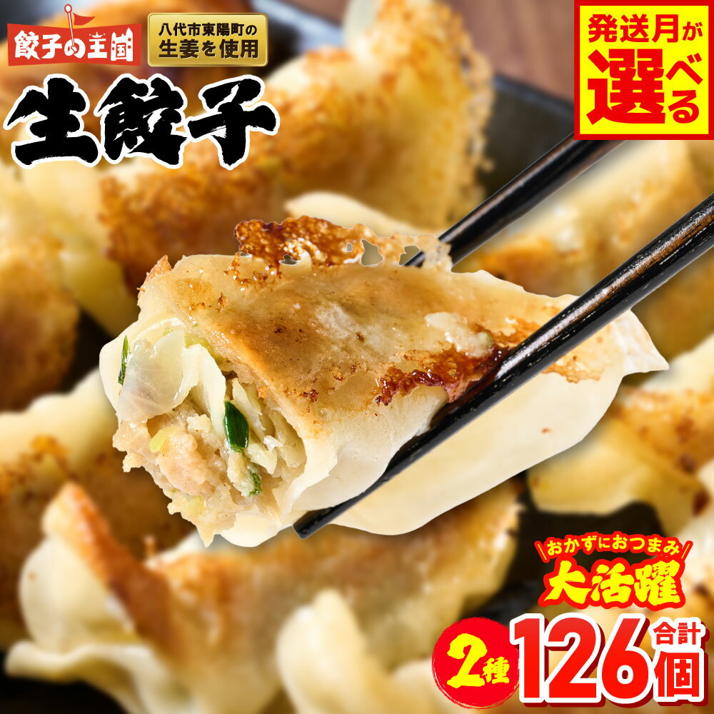 【ふるさと納税】 餃子の王国 人気 生餃子 126個 2種類 黒豚生餃子30個/工場直売生餃子96個 餃子 セット 食べ比べ 詰合せ ギョウザ ぎょうざ 中華 ショウガ おかず 惣菜 国産 八代市東陽町の生姜を使用 熊本県 九州 冷凍 送料無料