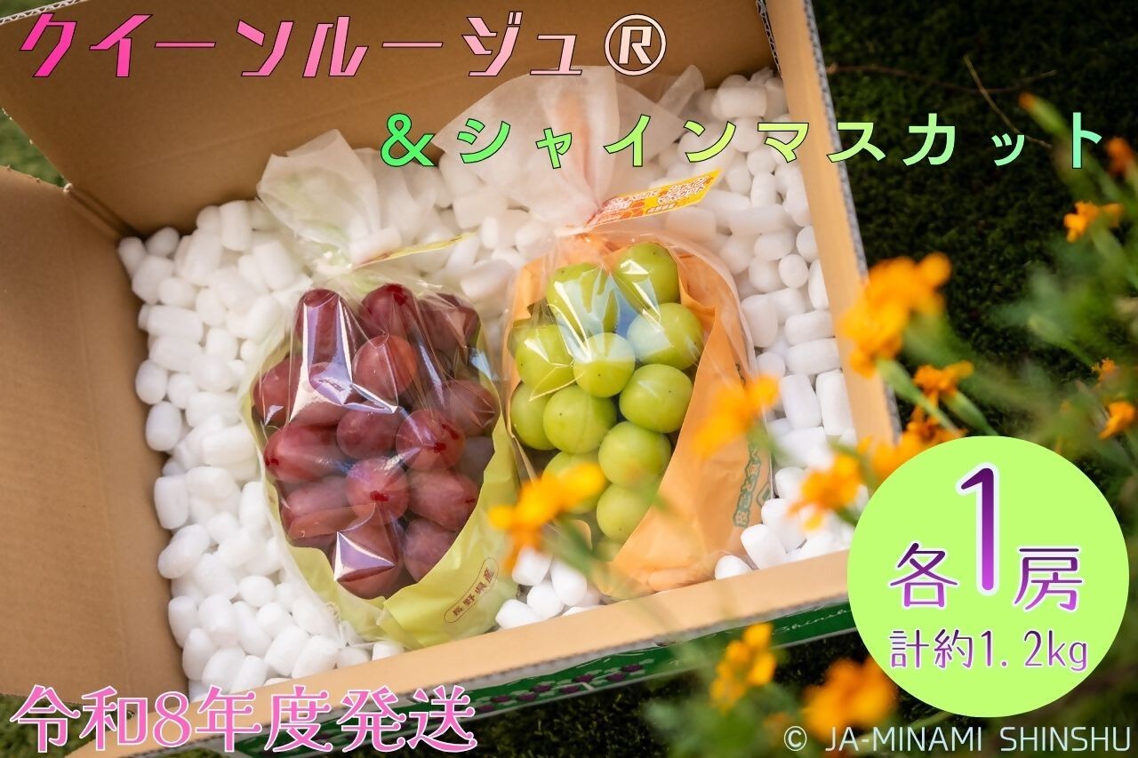 
                  8-J32 クイーンルージュ®＆シャインマスカット 秀品 約1.2kg (各1房)
                