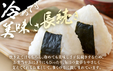定期便 ≪3ヶ月連続お届け≫ 【令和7年産】坂井市産 ハナエチゼン 5kg × 3回 (計15kg) 【玄米】 米 コメ お米 華越前 [E-10201_02]