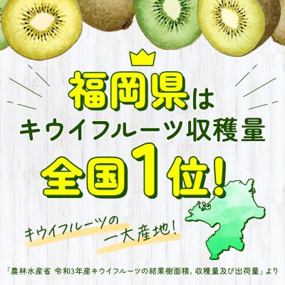 ふるさと納税 新宮町 【人気】九州・福岡フルーツ王国.旬のフルーツ定期便Kセット【あまおう】【甘うぃ】.BF028 |  | 03