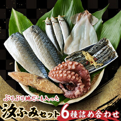 【ふるさと納税】汐ふみセットA【配送不可地域：離島】【1526770】