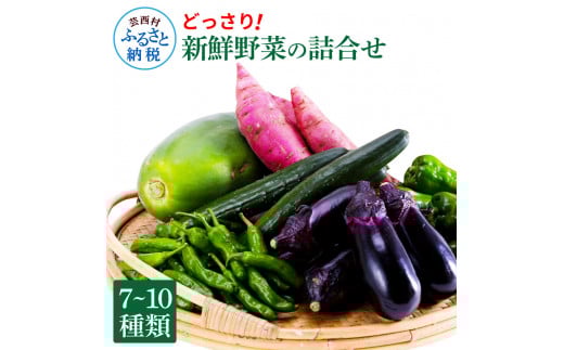 どっさり！新鮮野菜の詰合せ 7～10種類 ピーマン 茄子 なす ナス おまかせ 特産品 野菜 やさい 野菜セット おかず 健康 新鮮 詰め合わせ お楽しみ お取り寄せ 通販_イメージ2