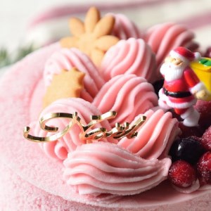 ＜栃木県＞Xmasジェラートケーキ(クリスマスアイスケーキ)※2024年12月中旬～下旬頃にお届け ※北海道・沖縄・離島・九州・山口県への配送不可