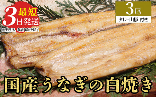うなぎ白焼き　3尾（140g～150g×3尾） | メディアに紹介されたうなぎ屋 国産 冷蔵 うなぎ 鰻 ウナギ タレ・山椒つき しら焼き