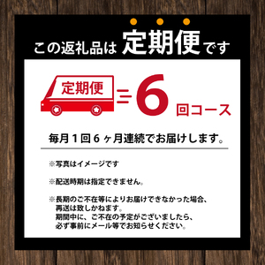 定期便 全6回 お茶 345ml×24本 伊藤園 おーいお茶 緑茶