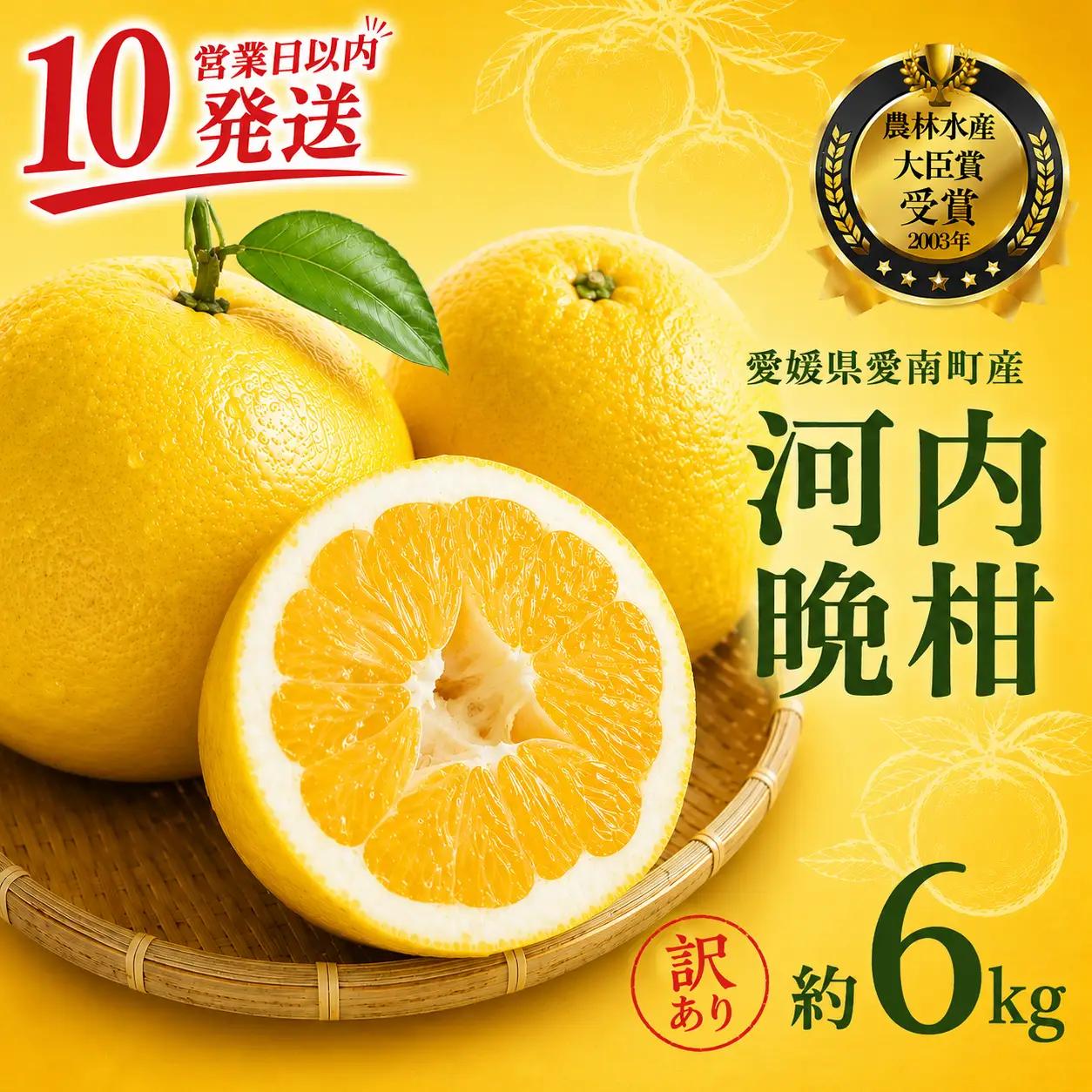 【10営業日以内発送】【訳あり】 河内晩柑 樹齢 25年以上 5kg +傷み保証約1kg （ サイズミックス ） 7000円 みかん mikan 蜜柑 ミカン わけあり かわちばんかん 愛南ゴールド あいなん ゴールド 美生柑 文旦 人気 限定 さわやか 甘い フルーツ 果物 柑橘 蜜柑 規格外 小玉 含む 吉本農園 愛南町 愛媛県