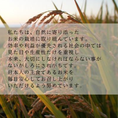 ふるさと納税 島牧村 ゆめぴりか 玄米10kg【2025年産】 |  | 02