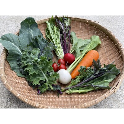 【栽培期間中農薬・化学肥料不使用です】ともときファーム丹波の季節の野菜セットS【配送不可地域：離島】