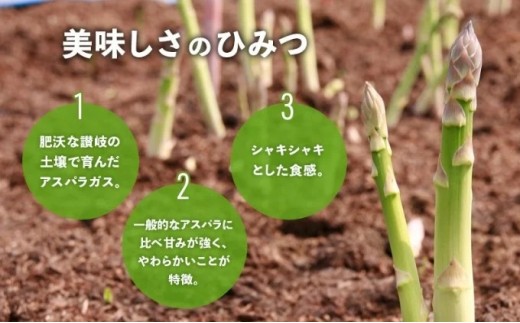 【9月末まで】 アスパラガス さぬきのめざめ 夏芽 1kg アスパラ グリーンアスパラ 野菜 やさい 旬 旬の野菜 季節の野菜 産地直送 香川 香川県 丸亀 丸亀市 冷蔵 冷蔵配送 疲労回復 免疫力向