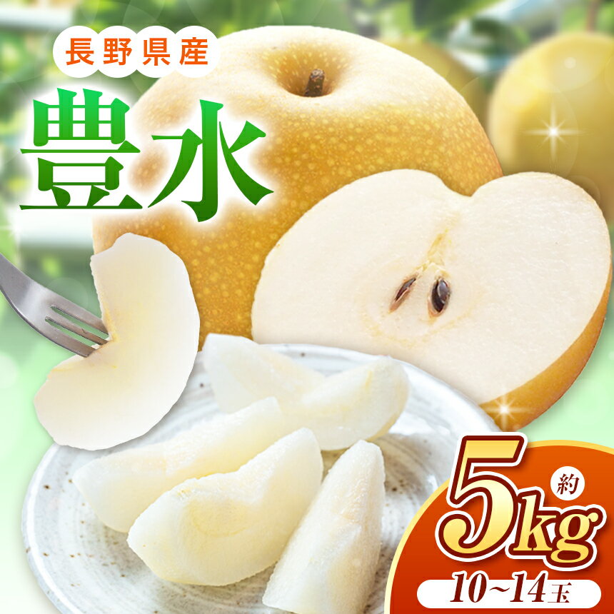 【ふるさと納税】【先行予約】豊水 約5kg （ 10 ～ 14 玉 ）【9月中旬頃より発送予定】| 果物 くだもの フルーツ 梨 なし ナシ 長野県 塩尻市