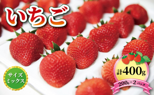 いちご 1種 400g (200g×2) 品種おまかせ【6～12月お届け】