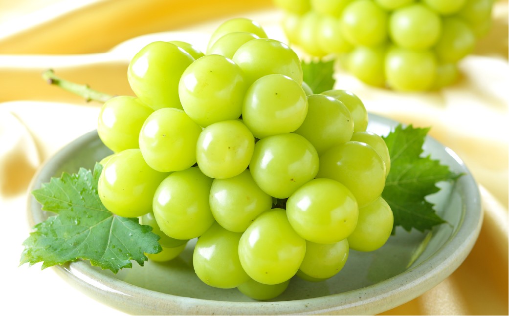 
            シャインマスカット晴王 3～6房 計約2kg 【2026年8月下旬～11月下旬まで順次発送予定】 マスカット 葡萄 ぶどう ブドウ 果物 フルーツ 岡山県 倉敷市
          