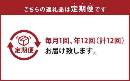 【 定期便 年12回 】 モンヴェールポーク 自家製 生ハンバーグ 9個 120g×9個を12回お届け