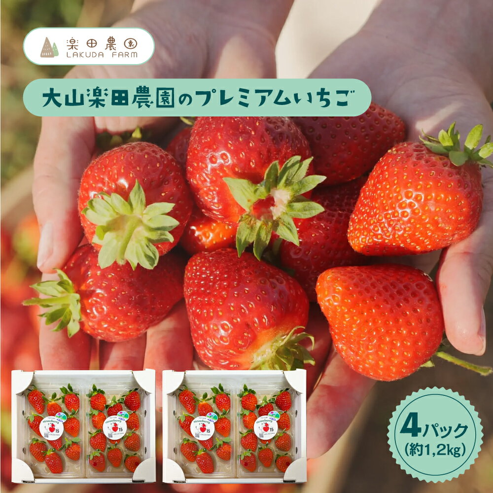 【ふるさと納税】大山楽田農園の大容量ファミリーパックいちごプランC 鳥取県 鳥取県産 大山町 大山 お土産 返礼品 国産 ご当地【2026年1月以降発送】