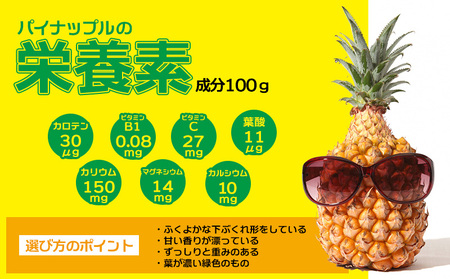 パイン 2026年発送【名護パイン園】ボゴールパイン約3kg（3～4玉） パイン