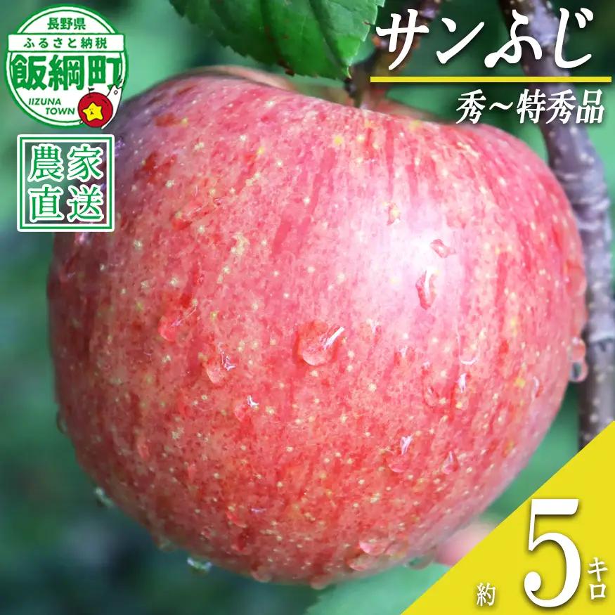 りんご サンふじ 秀 ～ 特秀 5kg 寺島農園 沖縄県への配送不可 2026年11月下旬頃から2027年2月上旬頃まで順次発送予定 令和8年度収穫分 信州 果物 フルーツ リンゴ 林檎 長野 予約 