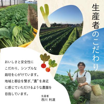 ふるさと納税 明和町 宮殿の厨房 野菜 おまかせ セット 六月農園 N5 |  | 03