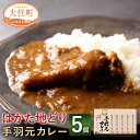 【ふるさと納税】はかた地どり 手羽元カレー 210g×5個 カレーギフト 中辛 鶏肉 手羽元 地鶏 お肉 カレー チキンカレー レトルトカレー 福岡県 大任町 送料無料