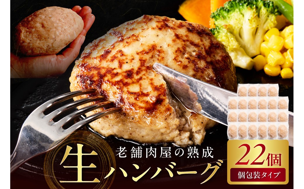 博多和牛手ごね生ハンバーグ 22個【019-0022】