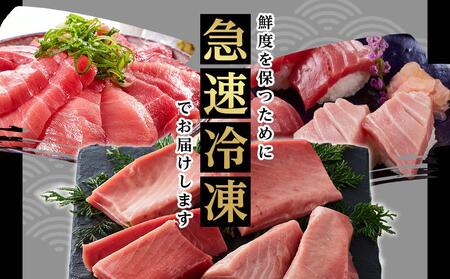 本場南紀から産地直送！ 本マグロ トロ+赤身セット 500g | 大トロ 中トロ 鮪 刺身 寿司