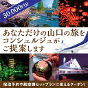 A055【ふるさと納税】山口オーダーメイド旅行クーポンD