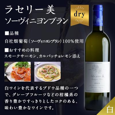 ふるさと納税 大和町 自社葡萄を使用したワイン2本セット ピノノワール・ソーヴィニヨンブラン 750ml×各1本 |  | 02