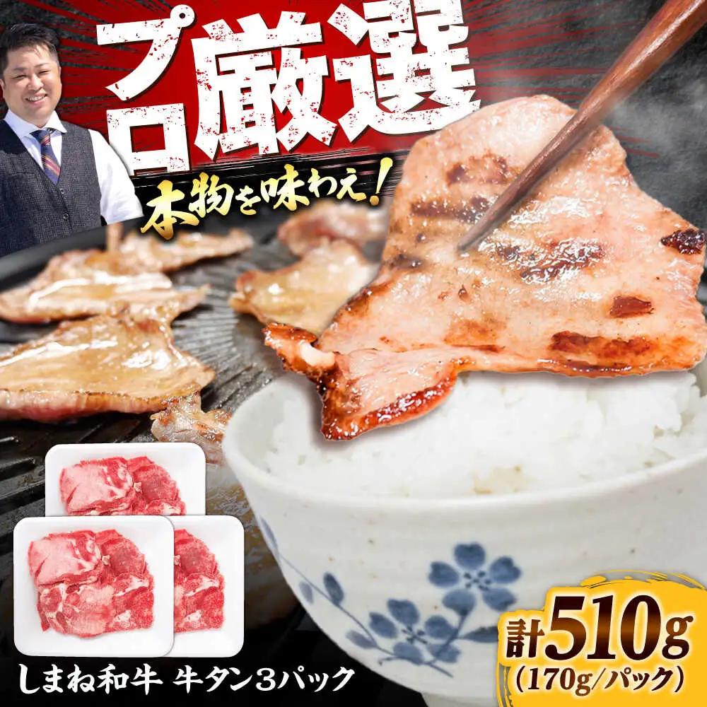 しまね和牛 牛タン 薄切り 510g ／ 牛タン [AIEF004]
