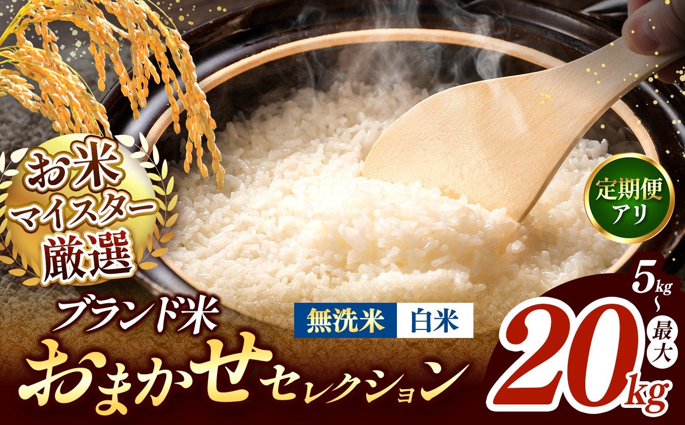 
                  【 令和7年産 】おまかせ セレクション 熊本県産 白米 or 無洗米  ＜ひのひかり / 森のくまさん / くまさんの輝き ＞ 単品 定期便 | 単一銘柄 米 単一米 お米 こめ 小分け 人気 コメ お米 5kg 10kg 15kg 20kg 25kg 30kg 定期便 3回 6回 12回 ブランド米 菊池川流域  家庭用 送料無料  熊本 くまもと 熊本県 和水 和水町 人気 ごはん 
                