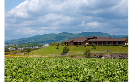 【AUBERGE de SENVIE】ペアランチ券