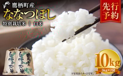 【令和7年産】 ななつぼし （白米）  5kg×2袋 米 白米 精白米 ごはん 北海道 鷹栖町 【2025年9月下旬より発送開始】 
